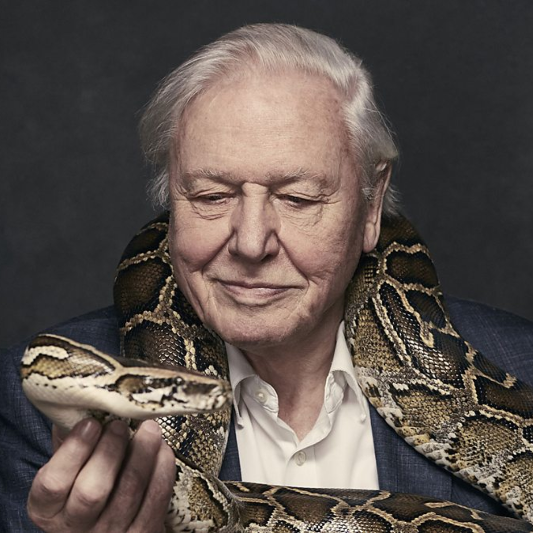 Sir David Attenborough