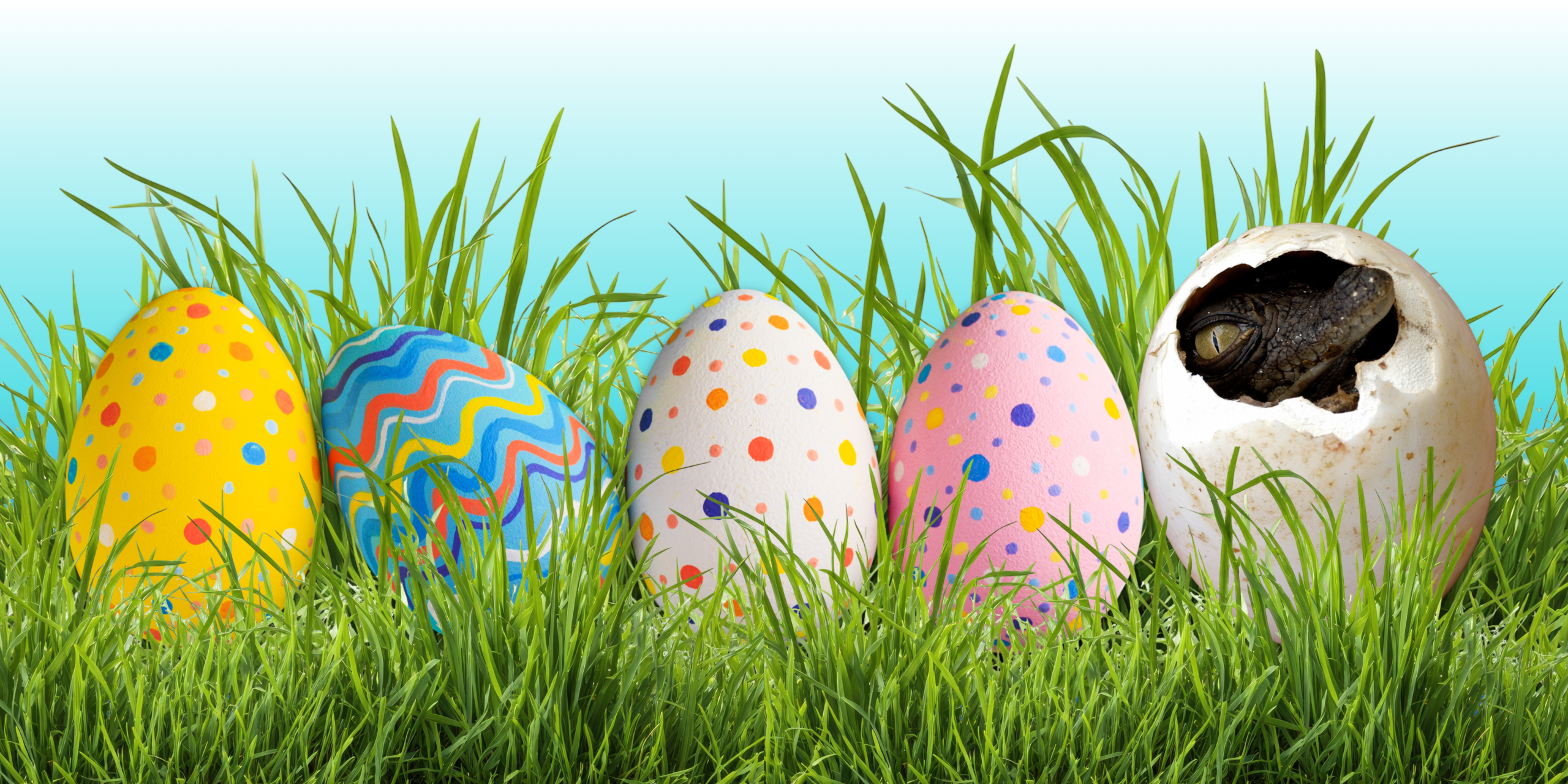 Beyond Chocolate: The World of Reptile Eggs